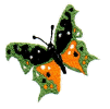 Butterfly 3.jpg (19512 bytes)