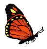 Butterfly 4.jpg (22064 bytes)