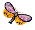 Butterfly 8.jpg (16223 bytes)