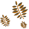 leaf2.jpg (99484 bytes)
