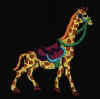 Giraffeonblack.jpg (15384 bytes)
