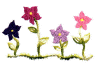 flower10.jpg (18932 bytes)