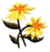 flower1.jpg (16381 bytes)
