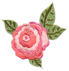 flower6.jpg (23769 bytes)